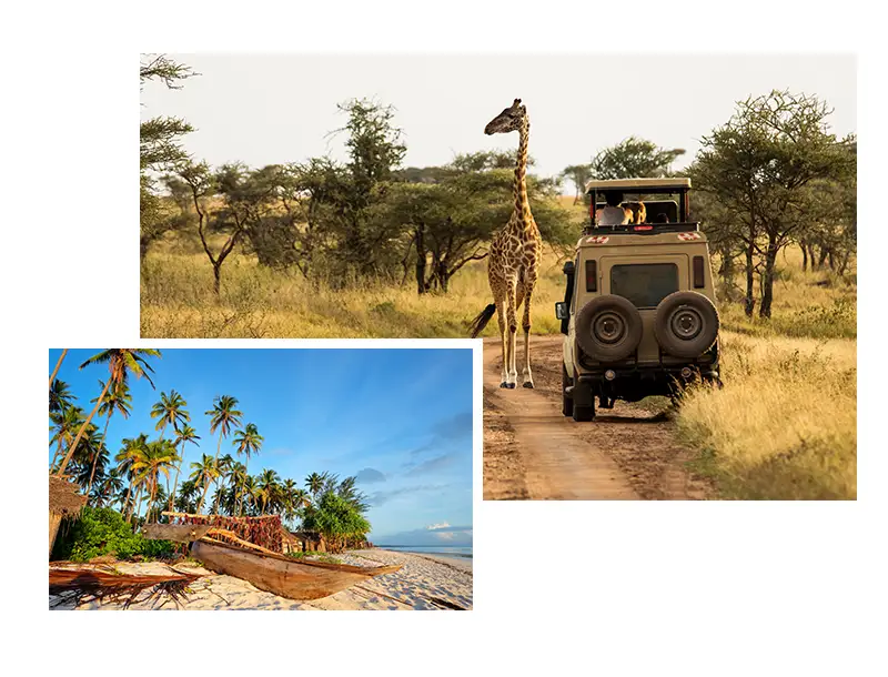 Tanzania-Private-Guided-Safari-Itineraries-Our-Service Tanzania-Private-Guided-Safari-Itineraries-Our-Service